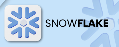 best software training in hyderabad - snow falke
